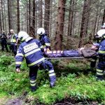 Hasiči s kynology hledali při cvičení v lese pět zraněných