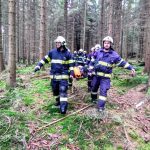 Hasiči s kynology hledali při cvičení v lese pět zraněných