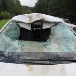 Auto se střetlo s jelenem. Dvaaosmdesátiletý řidič skončil v nemocnici