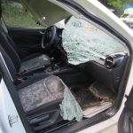 Auto se střetlo s jelenem. Dvaaosmdesátiletý řidič skončil v nemocnici