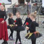 Papuče připomínají, že většina lidí chce umřít doma. V Písku se konal další Papučový den