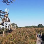 U Vrbenských rybníků vyrostla nová věž pro pozorování ptáků