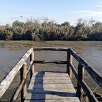 U Vrbenských rybníků vyrostla nová věž pro pozorování ptáků