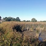 U Vrbenských rybníků vyrostla nová věž pro pozorování ptáků