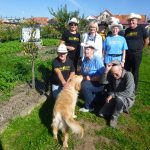 Hrušně z Prachatic putovaly do moravské obce zničené tornádem. Stromům se daří