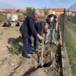 Hrušně z Prachatic putovaly do moravské obce zničené tornádem. Stromům se daří