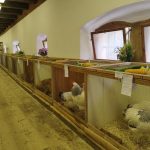 Chovatelé se ve Vimperku sešli už po sedmapadesáté