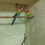 Chovatelé se ve Vimperku sešli už po sedmapadesáté