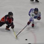 Když si kočka hraje s myší: Vimperk – Strakonice 12:0