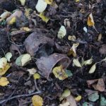 Muž nahlásil nález munice. Vyklubala se z ní zkorodovaná plechovka