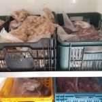 Celníci zajistili v dodávce 174 kilogramů masa neznámého původu. Mířilo do prodeje