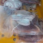 Celníci zajistili v dodávce 174 kilogramů masa neznámého původu. Mířilo do prodeje