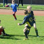 Krajské přípravky si daly dostaveníčko v Milevsku