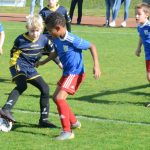 Krajské přípravky si daly dostaveníčko v Milevsku