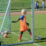 Krajské přípravky si daly dostaveníčko v Milevsku