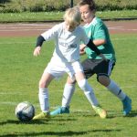 Krajské přípravky si daly dostaveníčko v Milevsku