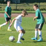 Krajské přípravky si daly dostaveníčko v Milevsku