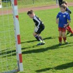 Krajské přípravky si daly dostaveníčko v Milevsku