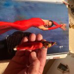 V novém lipenském betlému je místní baletka, holubičkář, Kateřina Neumannová nebo Jára Cimrman