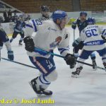 Kohouti zahnali lví smečku do kouta půltuctem už v půlce zápasu