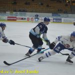 Kohouti zahnali lví smečku do kouta půltuctem už v půlce zápasu