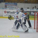 Kohouti zahnali lví smečku do kouta půltuctem už v půlce zápasu