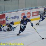 Kohouti zahnali lví smečku do kouta půltuctem už v půlce zápasu