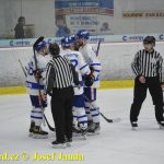 Kohouti zahnali lví smečku do kouta půltuctem už v půlce zápasu