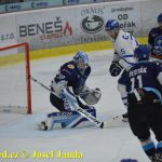 Kohouti zahnali lví smečku do kouta půltuctem už v půlce zápasu