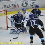 Kohouti zahnali lví smečku do kouta půltuctem už v půlce zápasu