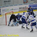 Kohouti zahnali lví smečku do kouta půltuctem už v půlce zápasu