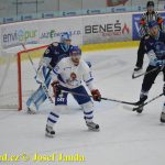 Kohouti zahnali lví smečku do kouta půltuctem už v půlce zápasu