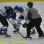 Kohouti zahnali lví smečku do kouta půltuctem už v půlce zápasu