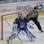 Kohouti zahnali lví smečku do kouta půltuctem už v půlce zápasu