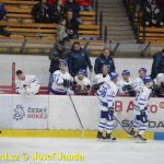 Kohouti zahnali lví smečku do kouta půltuctem už v půlce zápasu