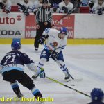 Kohouti zahnali lví smečku do kouta půltuctem už v půlce zápasu