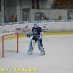 Kohouti zahnali lví smečku do kouta půltuctem už v půlce zápasu