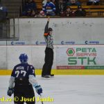 Kohouti zahnali lví smečku do kouta půltuctem už v půlce zápasu