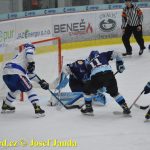 Kohouti zahnali lví smečku do kouta půltuctem už v půlce zápasu