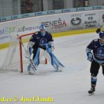 Kohouti zahnali lví smečku do kouta půltuctem už v půlce zápasu