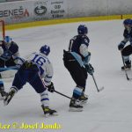 Kohouti zahnali lví smečku do kouta půltuctem už v půlce zápasu