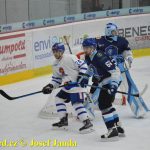 Kohouti zahnali lví smečku do kouta půltuctem už v půlce zápasu