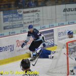 Kohouti zahnali lví smečku do kouta půltuctem už v půlce zápasu