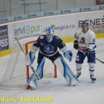 Kohouti zahnali lví smečku do kouta půltuctem už v půlce zápasu