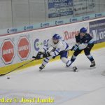 Kohouti zahnali lví smečku do kouta půltuctem už v půlce zápasu