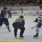 Kohouti zahnali lví smečku do kouta půltuctem už v půlce zápasu