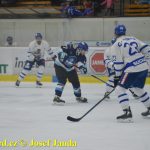 Kohouti zahnali lví smečku do kouta půltuctem už v půlce zápasu