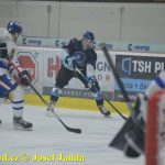 Kohouti zahnali lví smečku do kouta půltuctem už v půlce zápasu