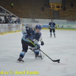 Kohouti zahnali lví smečku do kouta půltuctem už v půlce zápasu