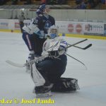 Kohouti zahnali lví smečku do kouta půltuctem už v půlce zápasu